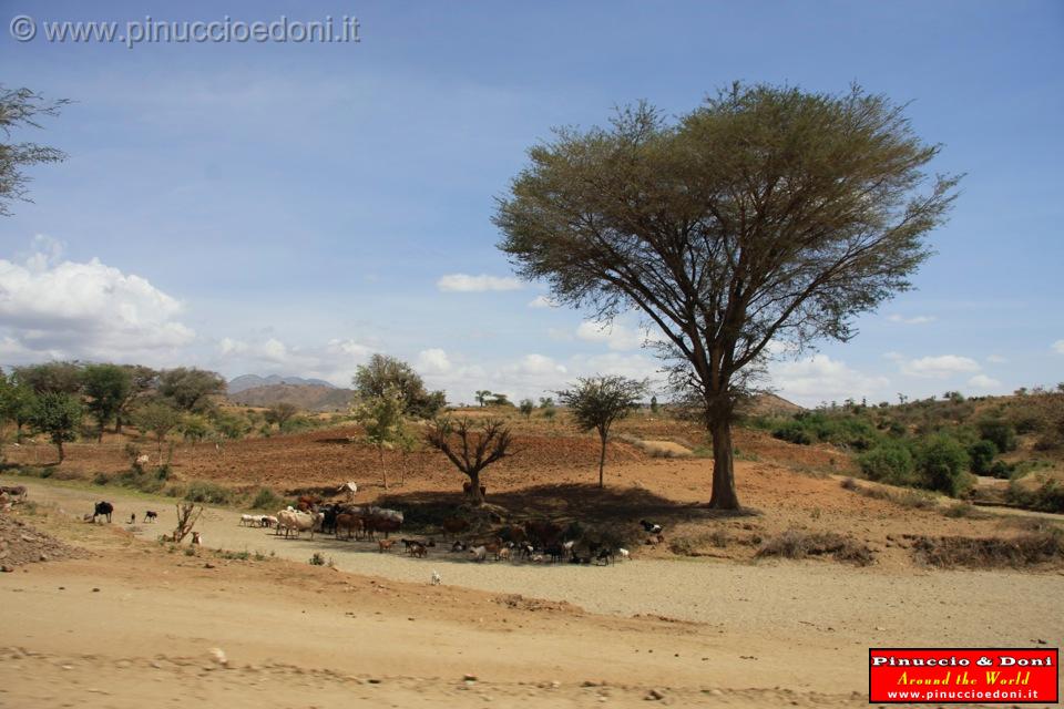 Ethiopia - 879.jpg